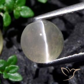 Silimanita Ojo de Gato Blanco cálido natural de 1.53 ct, Redondo, Translúcido