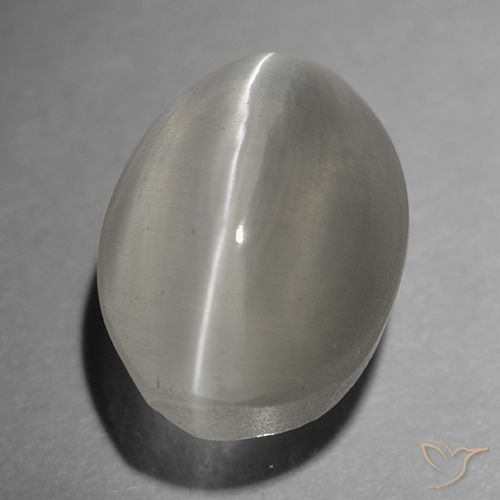 Silimanita ojo de gato gris natural de 1,65 ct, corte óvalo, transparente