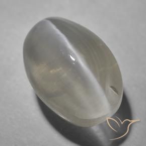Silimanita Ojo de Gato Gris muy claro natural de 1.63 ct, Ovalada, Transparente