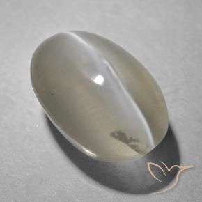 Silimanita Ojo de Gato Gris muy claro natural de 1.41 ct, Ovalada, Transparente