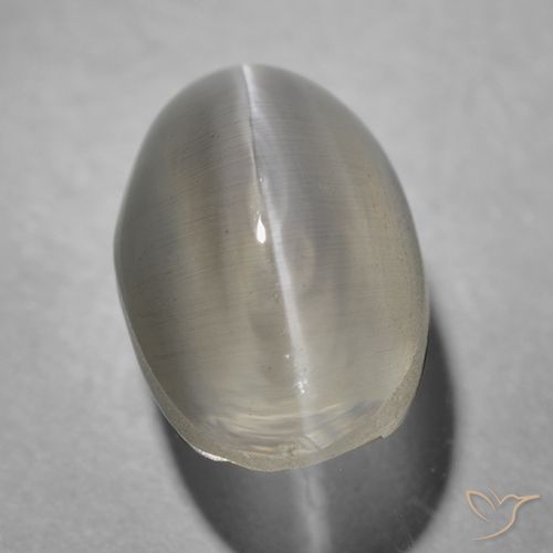 1.43ct Natural Gris muy claro Silimanita Ojo de Gato, Ovalada, Transparente