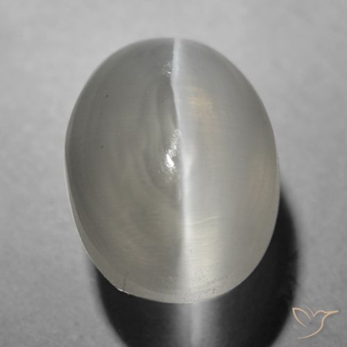 1.63ct Natural Gris muy claro Silimanita Ojo de Gato, Ovalada, Transparente