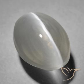 Silimanita Ojo de Gato Gris muy claro natural de 1.63 ct, Ovalada, Transparente