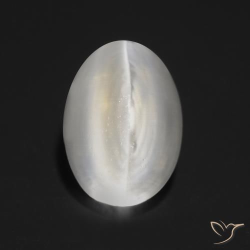 Silimanita Ojo de Gato Gris muy claro natural de 1.30 ct, Ovalada, Transparente