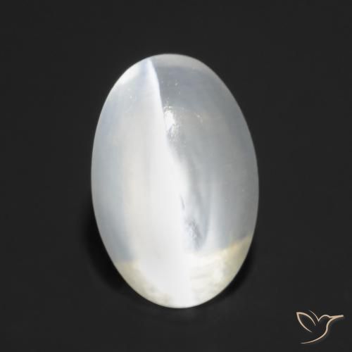 Silimanita Ojo de Gato Blanco translúcido natural de 1.27 ct, Ovalada, Transparente
