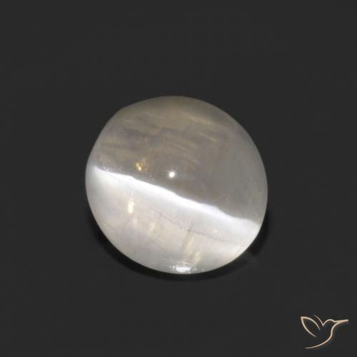Silimanita Ojo de Gato Blanco cálido natural de 1.33 ct, Ovalada, Transparente