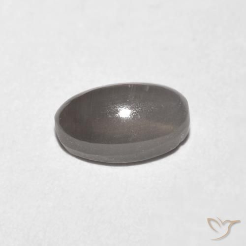 Silimanita Ojo de Gato Gris muy claro natural de 0.99 ct, Ovalada, Transparente