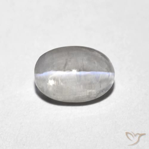 1.10ct Natural Gris muy claro Silimanita Ojo de Gato, Ovalada, Transparente