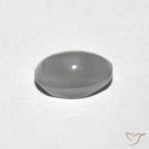 Silimanita Ojo de Gato Gris muy claro natural de 0.85 ct, Ovalada, Transparente