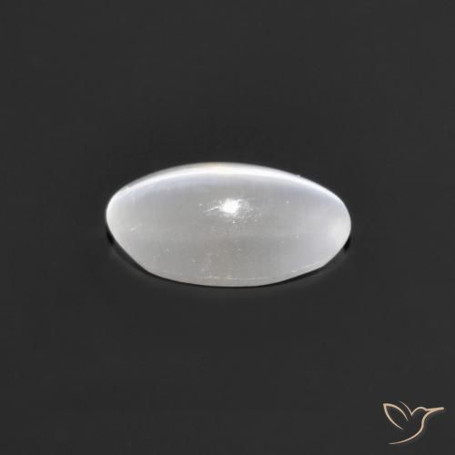 Silimanita Ojo de Gato Gris muy claro natural de 0.77 ct, Ovalada, Transparente
