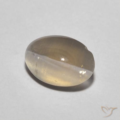 Silimanita Ojo de Gato Marrón neutral natural de 1.11 ct, Ovalada, Translúcido