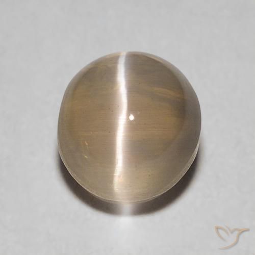 0.86ct Natural Marrón medio Silimanita Ojo de Gato, Ovalada, Transparente