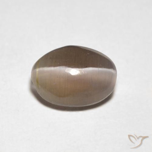 0.88ct Natural Marrón medio Silimanita Ojo de Gato, Ovalada, Transparente