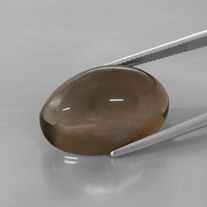 Cuarzo ahumado marrón natural de 32,73 ct, transparente, transparente / translúcido
