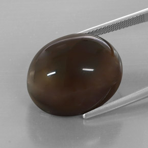 Cuarzo ahumado marrón natural de 32,19 ct, transparente, transparente / translúcido