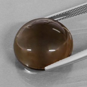 Cuarzo ahumado marrón natural de 20,78 ct, corte redondo, translúcido