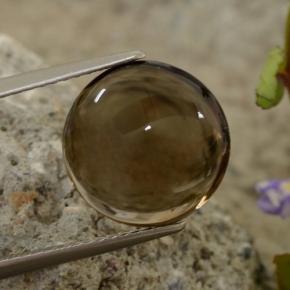 Cuarzo ahumado marrón natural de 5,63 ct, corte redondo, transparente