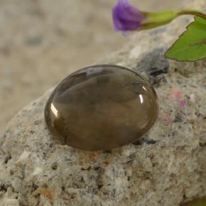 Cuarzo ahumado marrón natural de 5,63 ct, corte redondo, transparente
