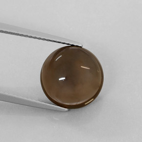 Cuarzo ahumado marrón natural de 6,22 ct, transparente, transparente / translúcido