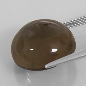 Cuarzo ahumado marrón natural de 13,93 ct, transparente, transparente / translúcido