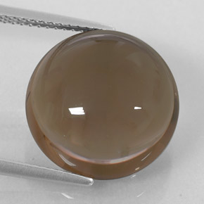 Cuarzo ahumado marrón natural de 13,12 ct, transparente, transparente / translúcido