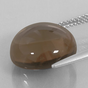 Cuarzo ahumado marrón natural de 11,27 ct, transparente, transparente / translúcido