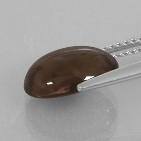 Cuarzo ahumado marrón natural de 3,06 ct, corte óvalo, transparente