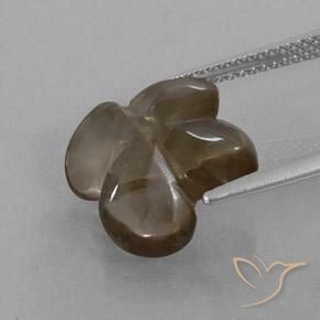 cuarzo ahumado Marrón sombra natural de 6.24 ct, Corte Flor, Transparente / Translúcido
