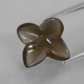 Cuarzo ahumado marrón natural de 6,59 ct, transparente, transparente / translúcido
