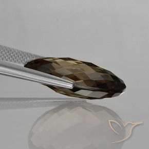 cuarzo ahumado Marrón oscuro natural de 13.61 ct, Ovalada, VVS