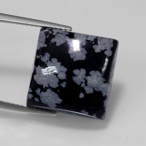 Obsidiana Copo de Nieve Gris-Blanco y negro natural de 12.36 ct, Cuadrado, Opaco