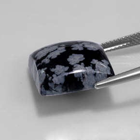 Obsidiana Copo de Nieve Gris-Blanco y negro natural de 12.36 ct, Cuadrado, Opaco