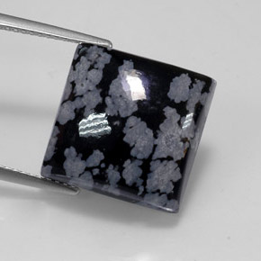 Obsidiana Copo de Nieve Blanco oscuro natural de 12.41 ct, Cuadrado, Opaco