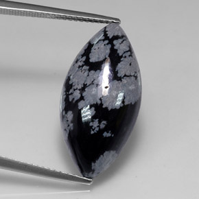Obsidiana Copo de Nieve Blanco oscuro natural de 10.55 ct, Marquesa, Opaco