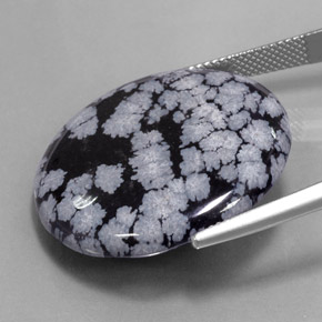 Obsidiana Copo de Nieve Gris-Blanco y negro natural de 27.54 ct, Corte Redondo, Opaco