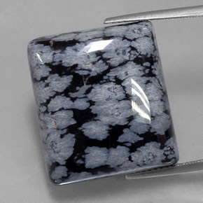 Obsidiana Copo de Nieve Blanco oscuro natural de 27.37 ct, Cuadrado, Opaco