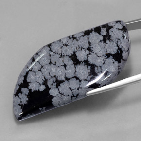 Obsidiana nevada negro natural de 49,62 ct, forma elegante, opaco