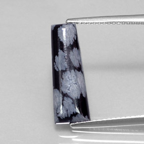 Obsidiana Copo de Nieve Copo de Nieve natural de 3.20 ct, Forma elegante, Opaco