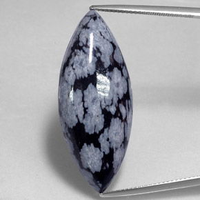 Obsidiana Copo de Nieve Gris-Blanco y negro natural de 19.85 ct, Marquesa, Opaco