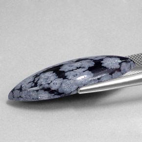 Obsidiana Copo de Nieve Gris-Blanco y negro natural de 19.85 ct, Marquesa, Opaco