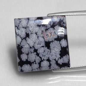 Obsidiana nevada negro natural de 16,12 ct, cuadrado, opaco