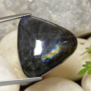 Espectrolita Multicolor natural de 21.80 ct, Trillón, Opaco