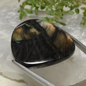 Espectrolita Multicolor natural de 24.99 ct, Forma elegante, Opaco