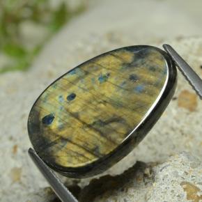 Espectrolita Multicolor natural de 7.78 ct, Forma elegante, Opaco