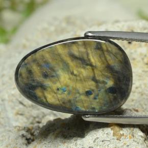 Espectrolita Multicolor natural de 7.78 ct, Forma elegante, Opaco