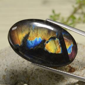 Espectrolita multicolor natural de 18,04 ct, corte óvalo, opaco