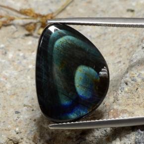 Espectrolita Multicolor natural de 9.82 ct, Forma elegante, Opaco