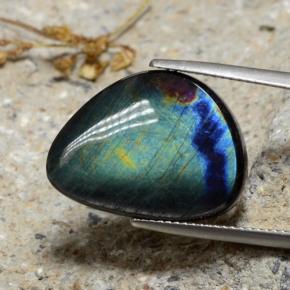 Espectrolita Multicolor natural de 9.82 ct, Forma elegante, Opaco