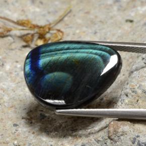 Espectrolita Multicolor natural de 9.82 ct, Forma elegante, Opaco