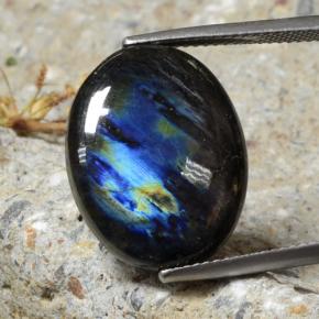 Espectrolita Multicolor natural de 10.68 ct, Corte Óvalo, Opaco